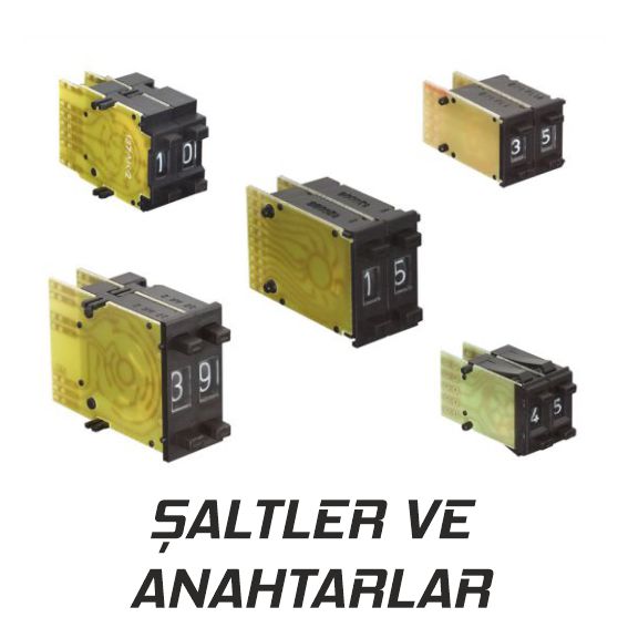 saltler